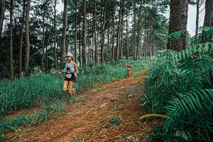 BIB: 
                            <button type="button" onclick="openModal(25689938)" class="btn btn-primary btn-sm float-right btn-popup" data-toggle="modal" data-target=".modal-high-quality">
                        <i class="fas fa-shopping-cart"></i> Add to Cart
                    </button>
                                            <button type="button" onclick="isThisMe(25689938, true)" class="btn btn-success btn-sm float-right btn-popup btn-isme hidden" data-toggle="tooltip" data-placement="bottom" title="นี่คือรูปของคุณใช่ไหม คลิกที่นี่เพื่อเอาเข้าอัลบั้ม">
                        <i class="fas fa-plus"></i> Add to album
                    </button>
                    <button type="button" onclick="isThisMe(25689938, false)" class="btn btn-warning btn-sm float-right btn-popup btn-isnotme hidden">
                        <i class="fas fa-ban"></i> Remove from album
                    </button>